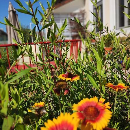 Campagn'Arts Bed & Breakfast Villechetif Exterior photo